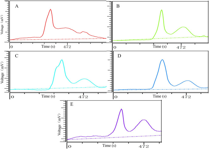 Fig. 6