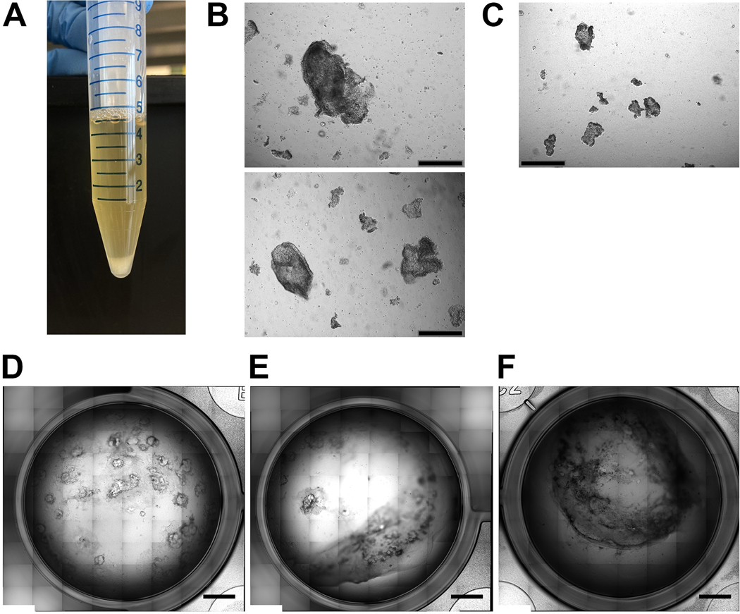 Figure 3.