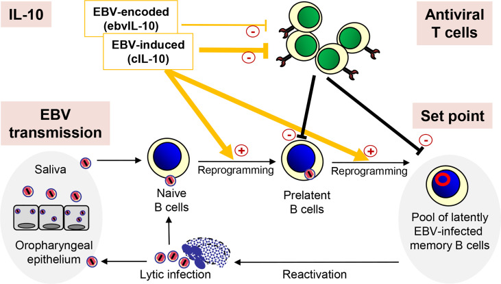 Figure 1