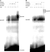FIG.4.