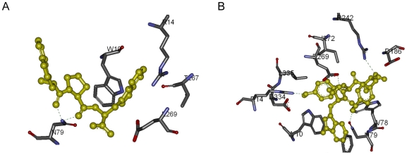 Figure 11