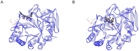 Figure 10