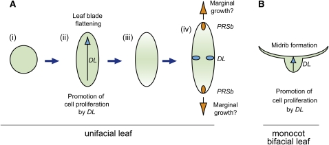 Figure 11.