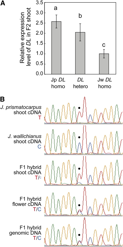 Figure 9.