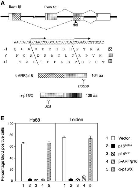 graphic file with name cdf289f1a.jpg