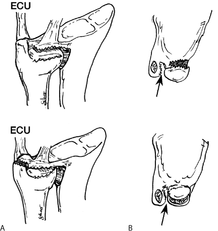 Figure 5.