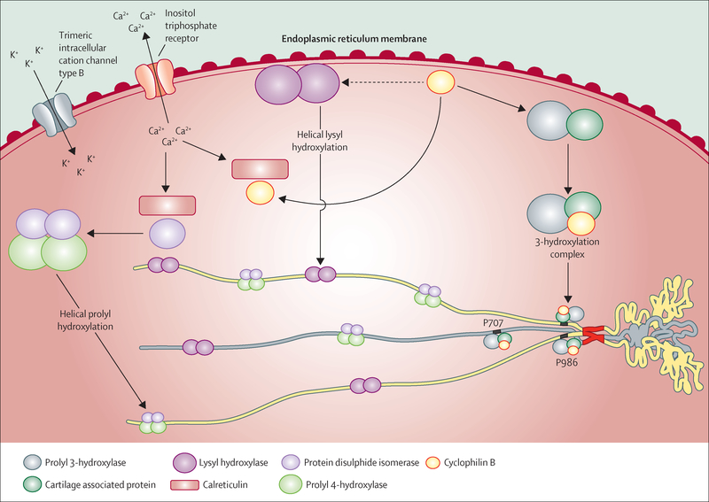 Figure 2: