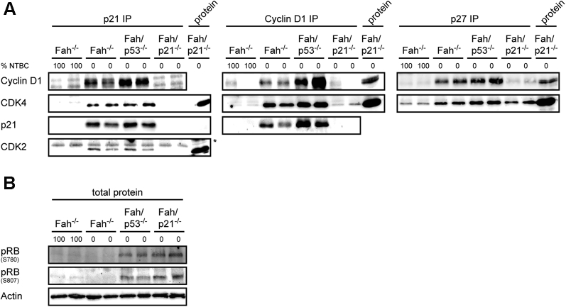 Figure 6