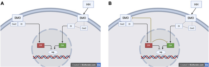 FIGURE 10