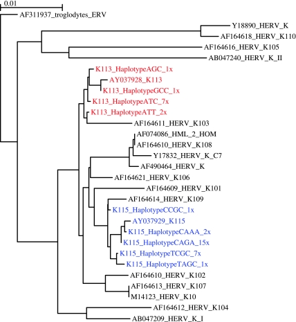 FIG. 2.—