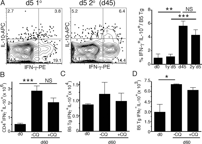 FIG 6