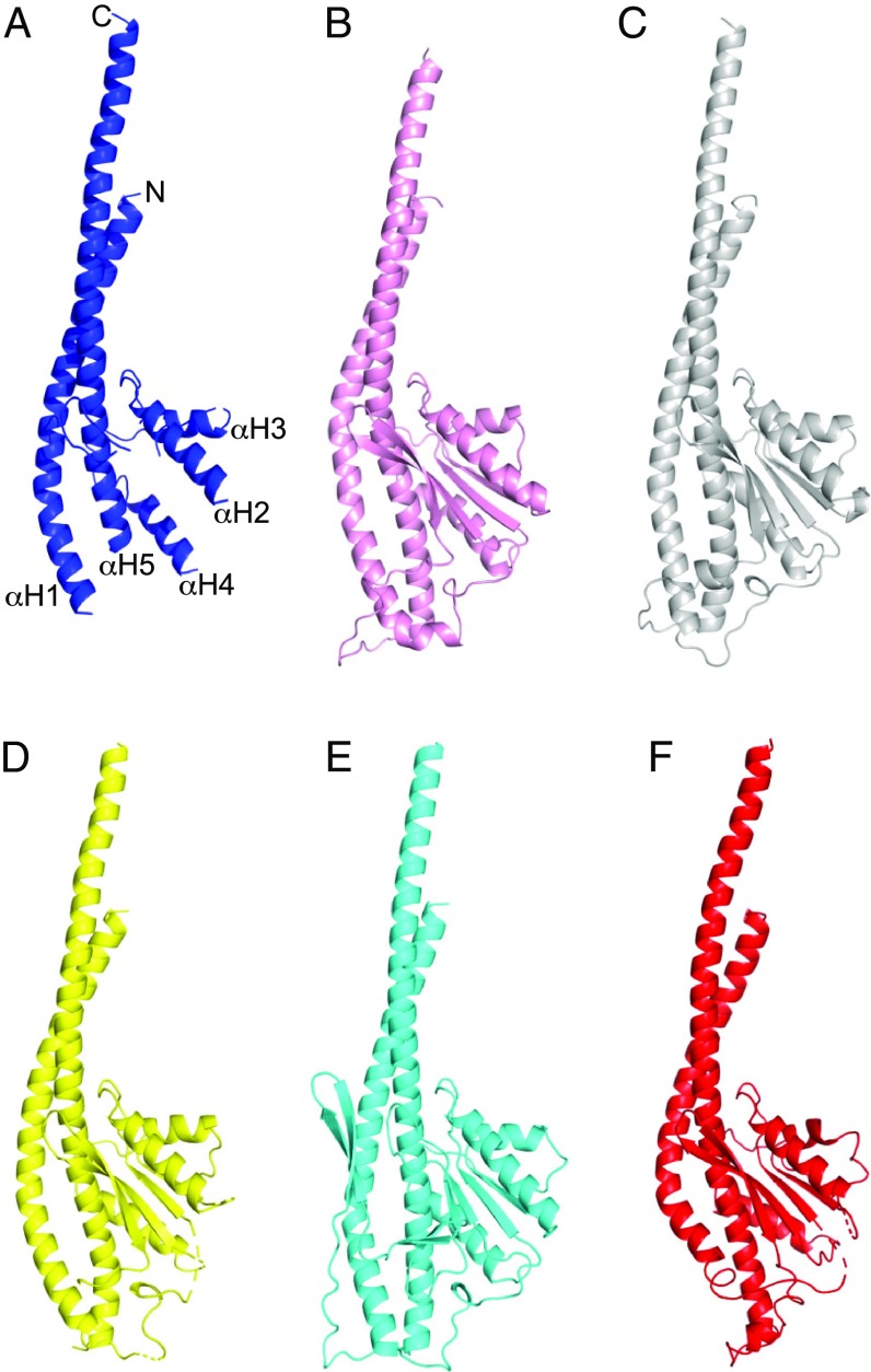 Fig. 3.