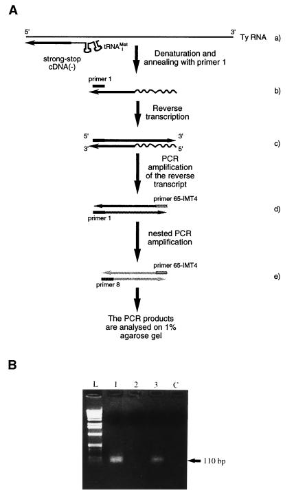 FIG. 5