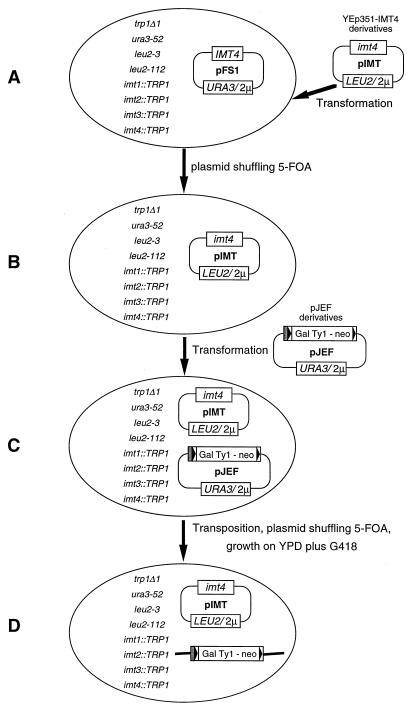 FIG. 1