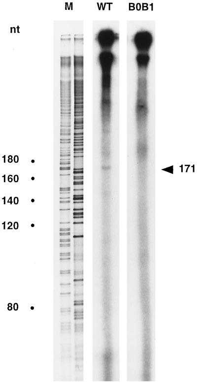 FIG. 6