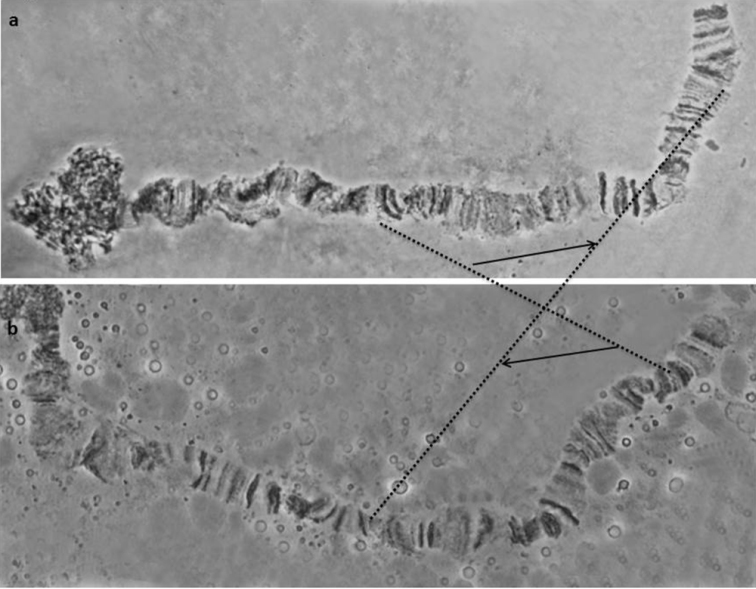 Figure 7.