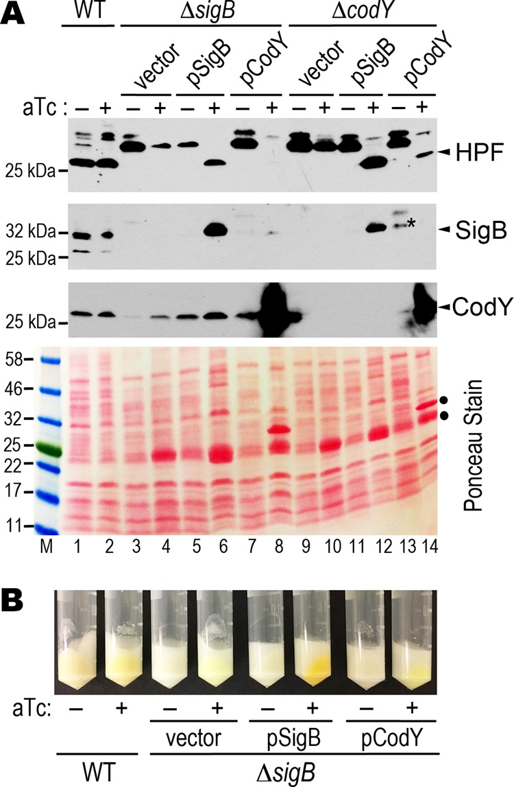 FIG 5