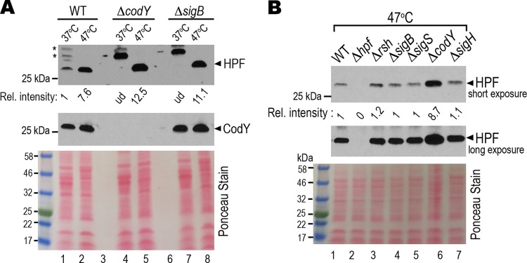 FIG 6