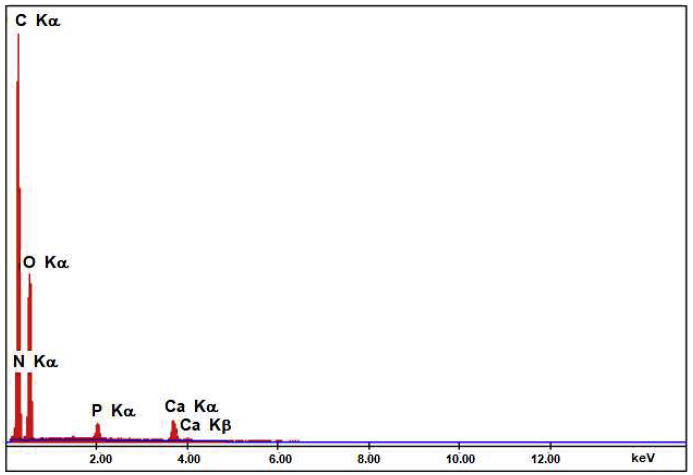 Figure 14