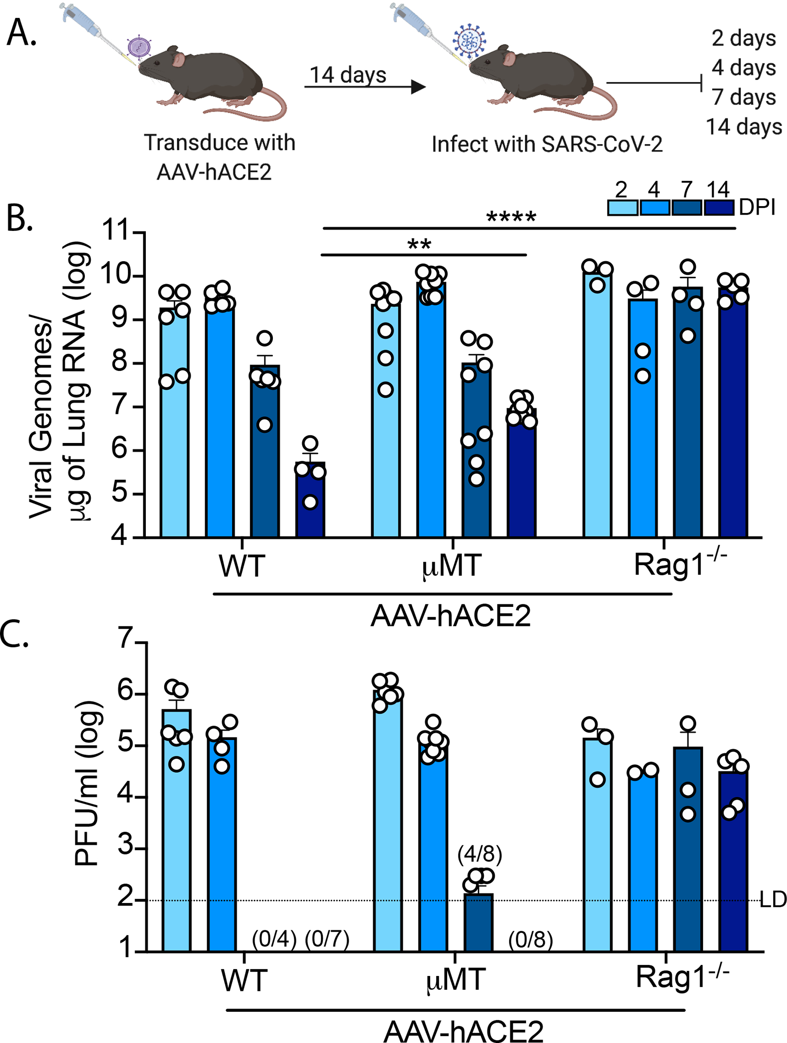 Figure 1: