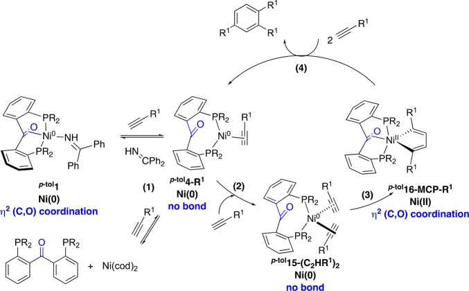 Scheme 7