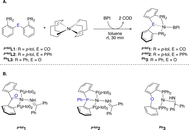 Scheme 2