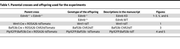 graphic file with name jciinsight-9-179755-g142.jpg