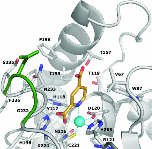 FIG. 4.