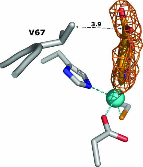 FIG. 5.