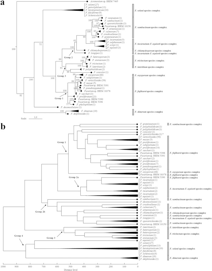 FIG 1