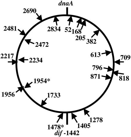 FIG. 5.