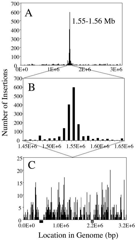 FIG. 1.