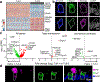 Figure 4 |