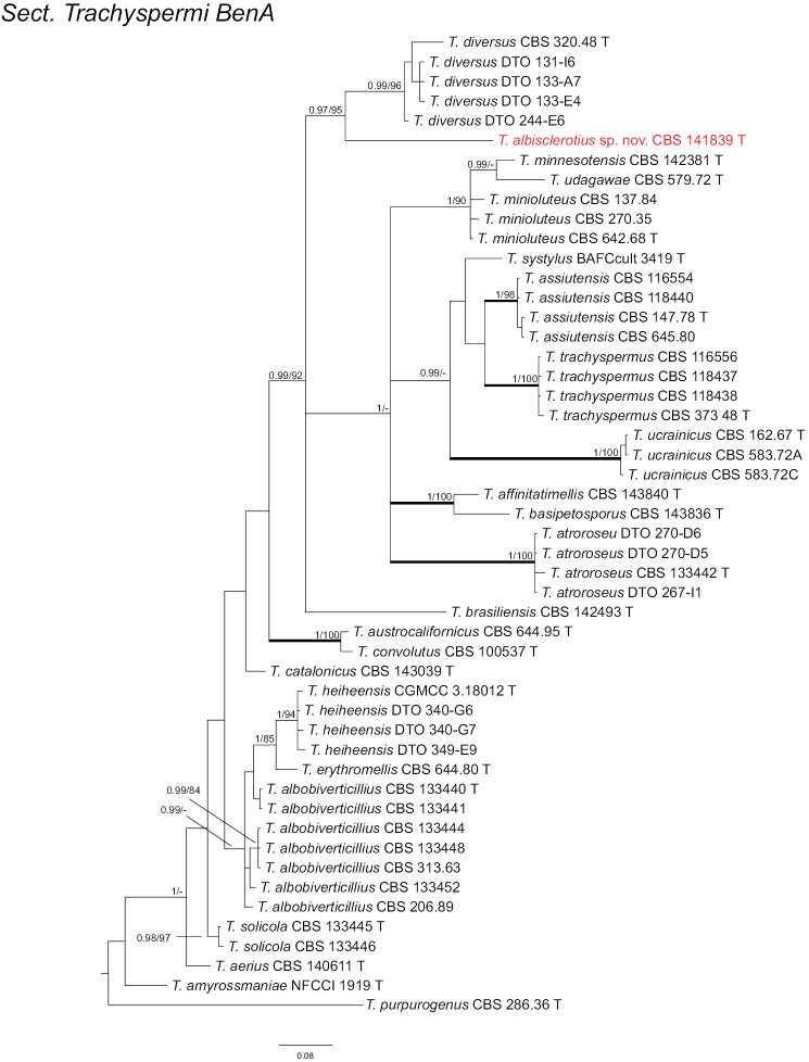 Figure 3.