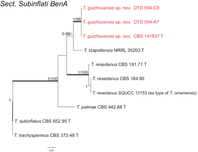 Figure 4.