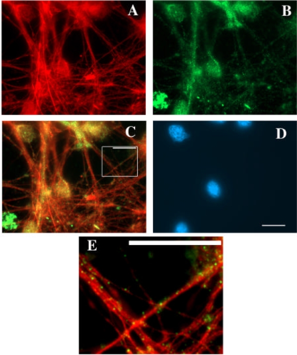 Figure 10