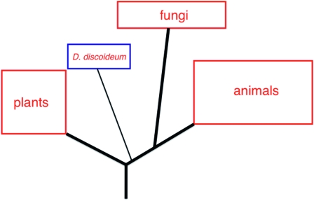 Figure 1.—