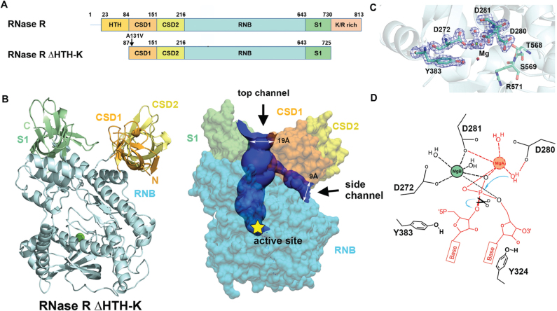 Figure 2.