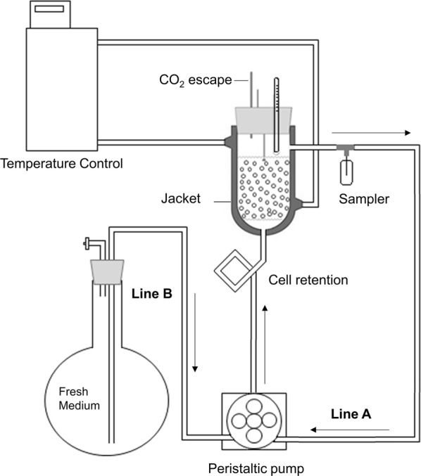 Fig. 5