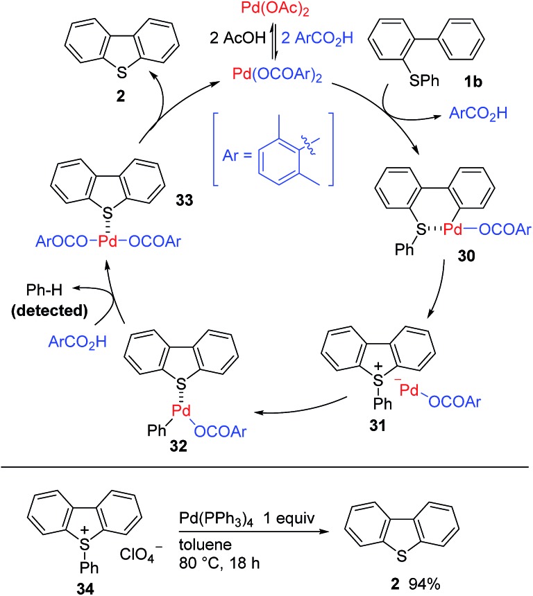 Scheme 4