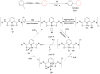 Scheme 6