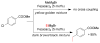Scheme 51
