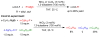 Scheme 39
