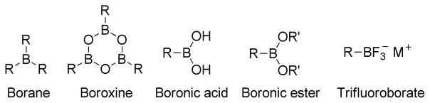 Figure 42