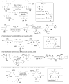 Figure 145