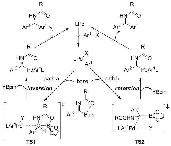 Scheme 62