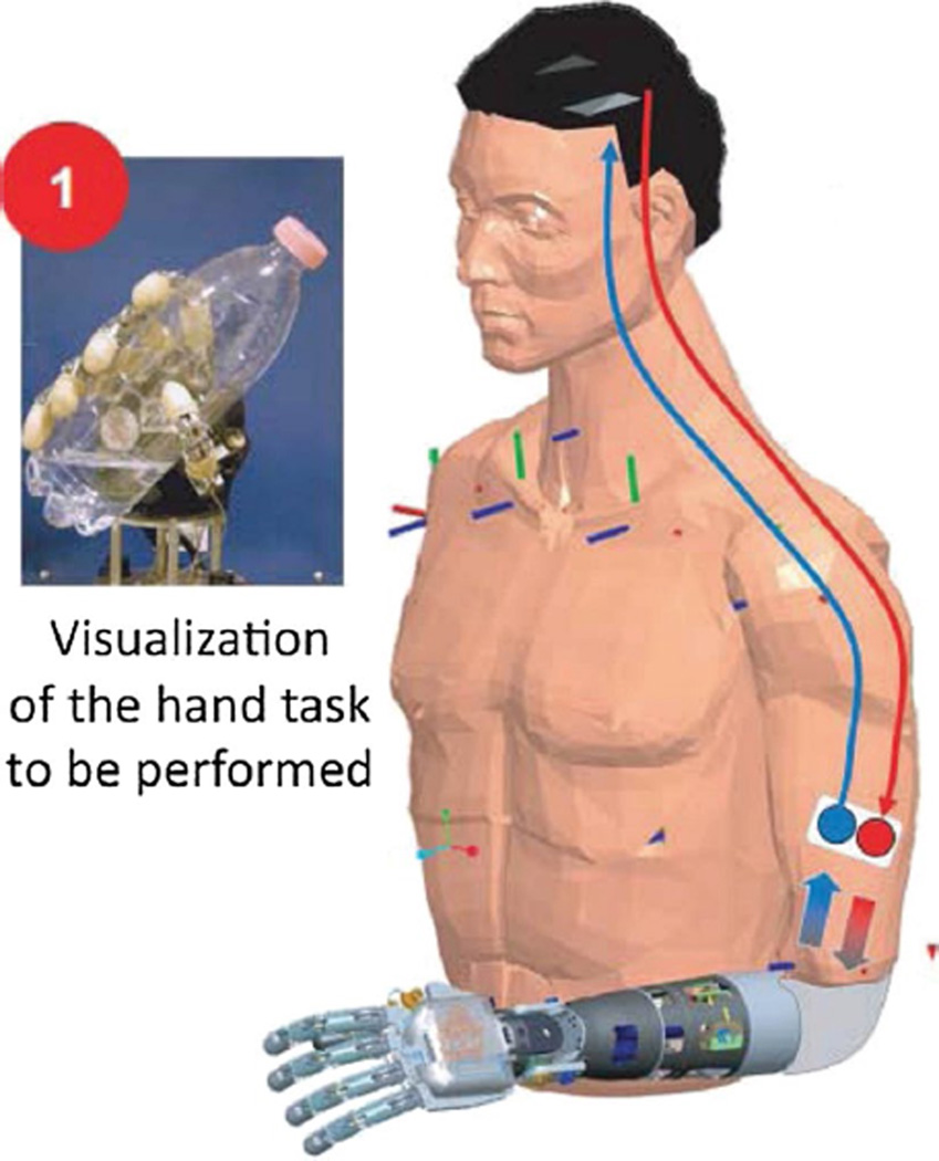 Fig. 10
