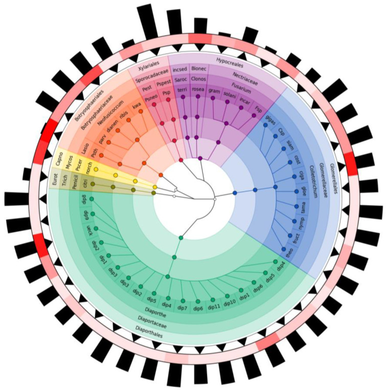 Molecular Identification And Fungal Diversity Associated With Diseases 