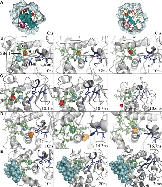 Figure 4