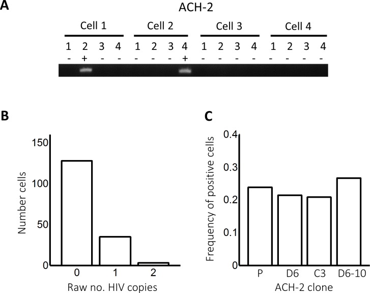 Figure 2—figure supplement 1.